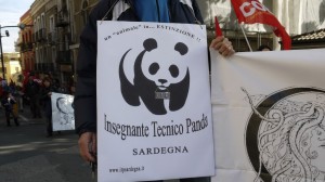 itp-panda