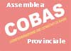 assemblea-cobas