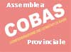 assemblea-cobas