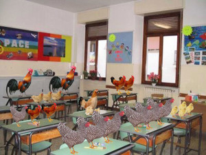 classe-pollaio3